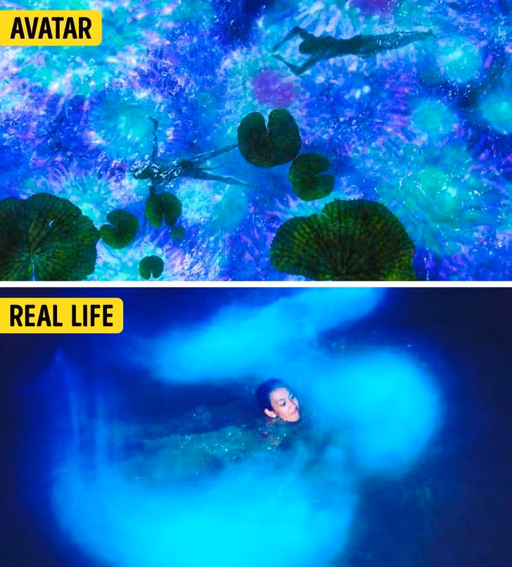 Ảnh: BrightSide Ảnh: BrightSide