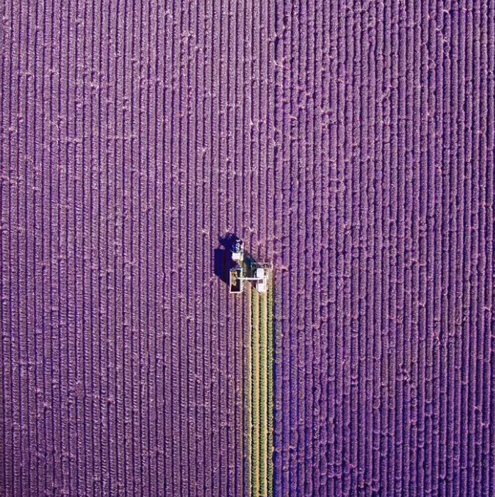 Ảnh: BrightSide Ảnh: BrightSide