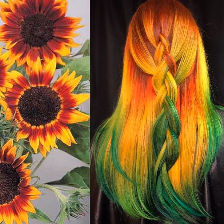 Ảnh: BrightSide Ảnh: BrightSide