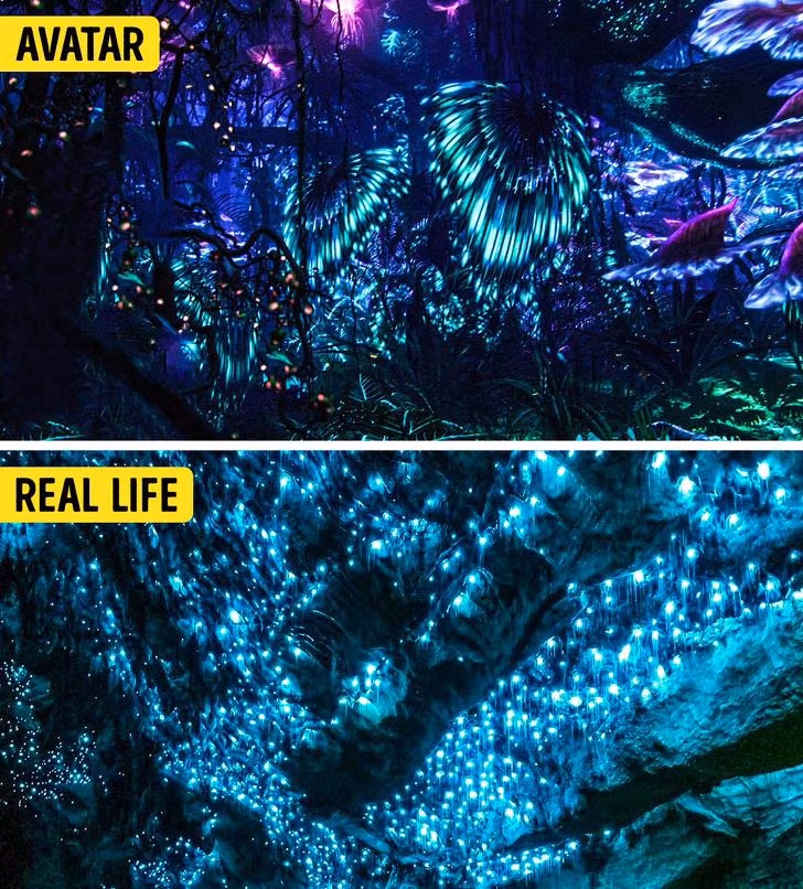Ảnh: BrightSide Ảnh: BrightSide