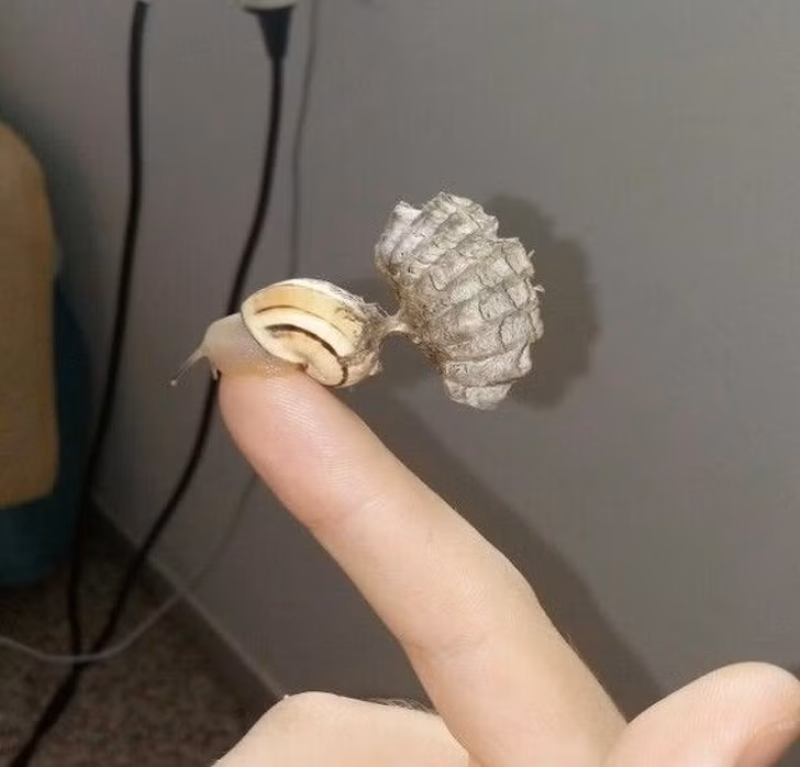 Ảnh: BrightSide Ảnh: BrightSide