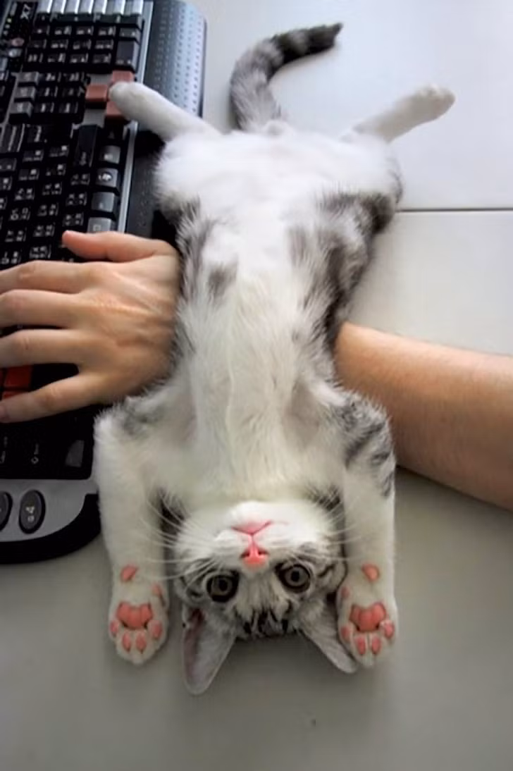 Ảnh: BrightSide Ảnh: BrightSide