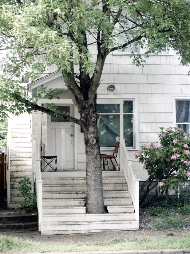 Ảnh: BrightSide Ảnh: BrightSide