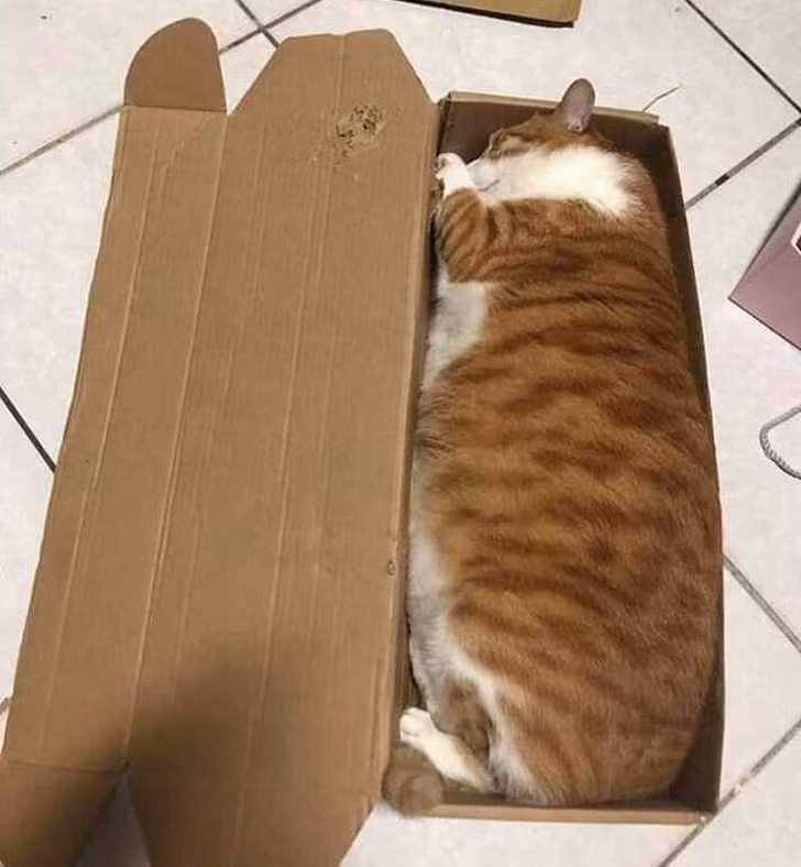 Ảnh: BrightSide Ảnh: BrightSide