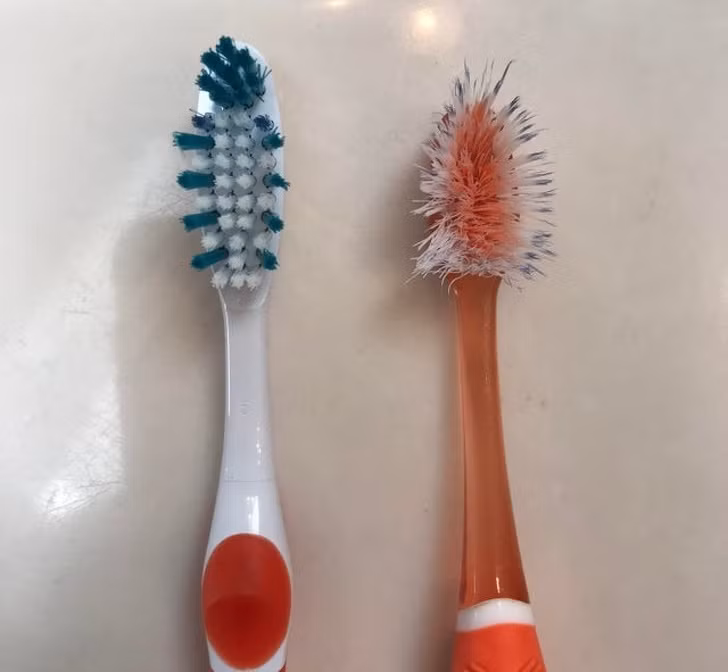 Ảnh: BrightSide Ảnh: BrightSide