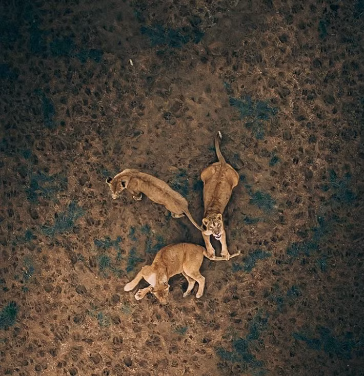Ảnh: BrightSide Ảnh: BrightSide