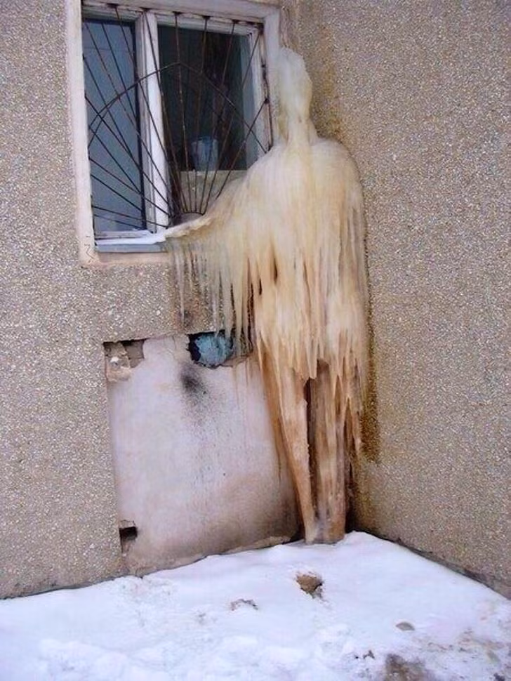 Ảnh: BrightSide Ảnh: BrightSide