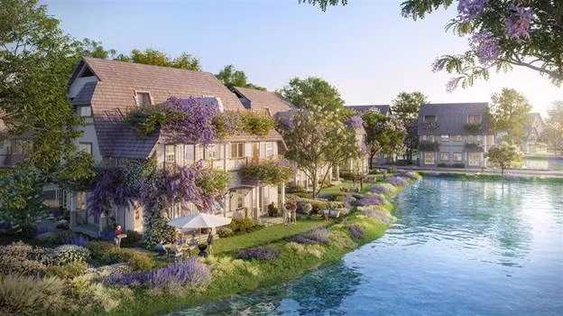 Sắc tím lavender tràn ngập khắp cụm đảo Violet