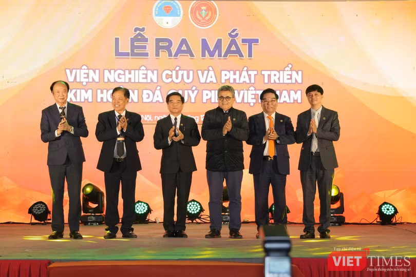 vt-pini-vn.jpg