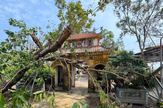 Kiểm tra chùa Cẩm La sau phản ánh nuôi dưỡng trẻ em trái quy định