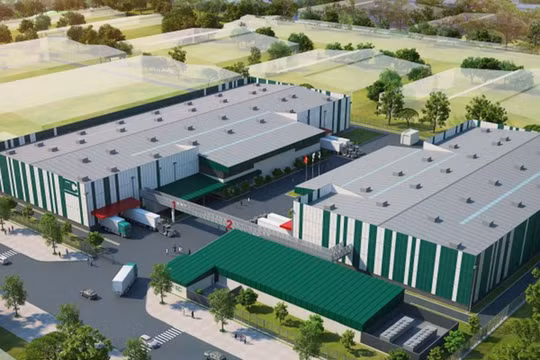 5 doanh nghiệp dược bị phạt 570 triệu đồng, 3 trường hợp bị tước chứng chỉ hành nghề