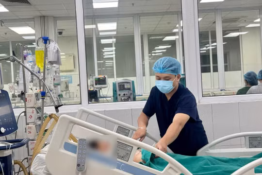 Bé gái 14 tuổi sốc nhiễm khuẩn, suy đa tạng vì sốt mò