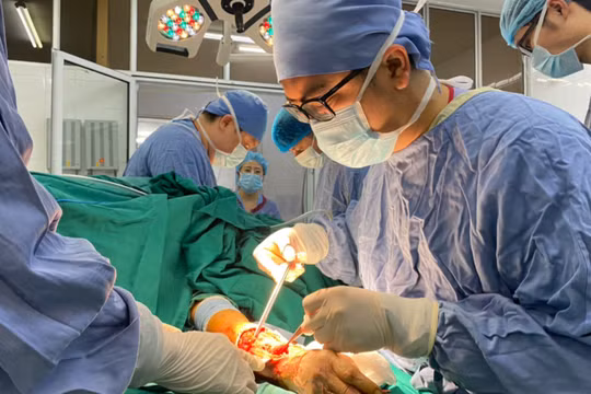 Bà cụ 75 tuổi nguy kịch vì bị chó cắn