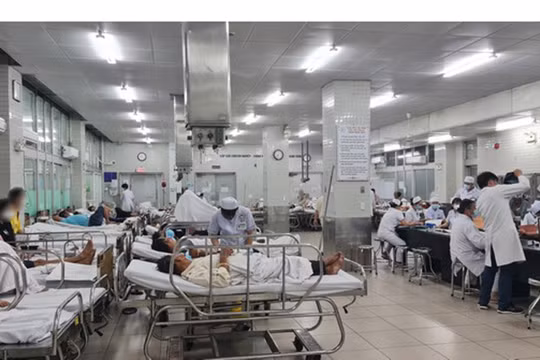 2 người tử vong sau khi uống rượu ngâm, Bộ Y tế yêu cầu truy nguồn khẩn