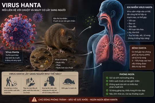 Bộ Y tế cảnh báo nguy cơ virus Hanta lây từ chuột sang người