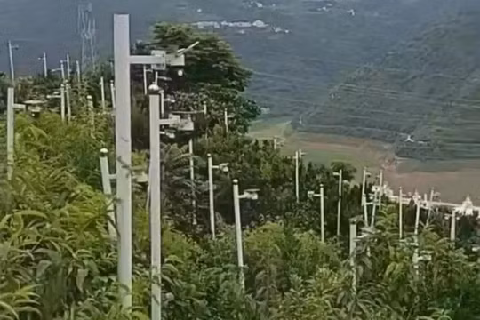Hình ảnh về sườn đồi với đầy camera đang gây xôn xao cộng đồng mạng Trung Quốc. Ảnh: SCMP.