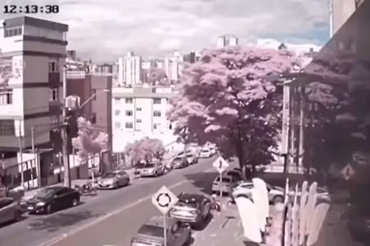 Ảnh cắt từ clip.