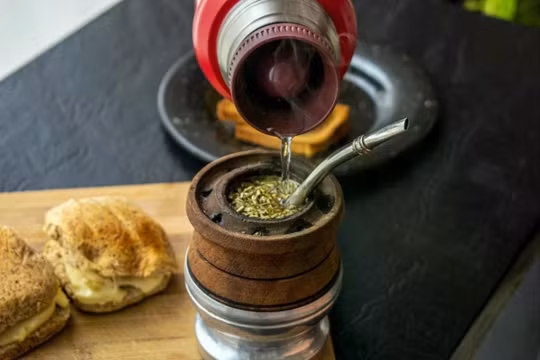 Cây yerba mate có nguồn gốc từ lưu vực sông Paraguay và Parana ở Nam Mỹ. Ảnh: Getty.