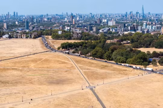 Hình ảnh từ trên cao cho thấy bãi cỏ bị héo úa do nắng nóng ở London, Anh, vào ngày 11/8. Ảnh: Getty.