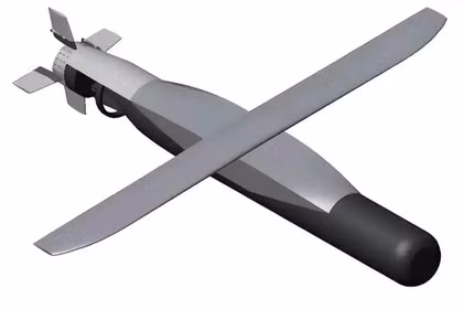 Phác họa ngư lôi chống ngầm phóng từ trên không mang tên “Silent Anvil” Mỹ đang nghiên cứu. Ảnh: Sohu. 