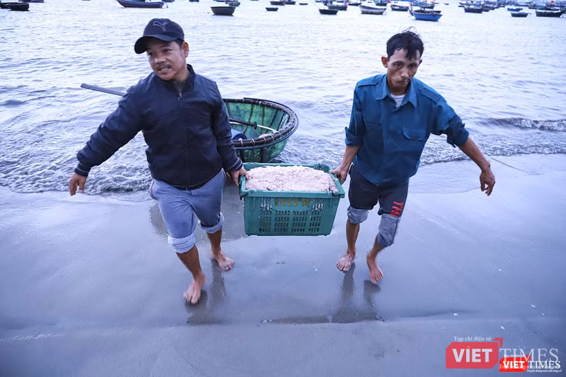 Hết thúng này đến thúng khác Hết thúng này đến thúng khác