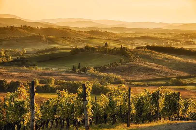 Chianti, Tuscany, Ý (ảnh MauMar 70)