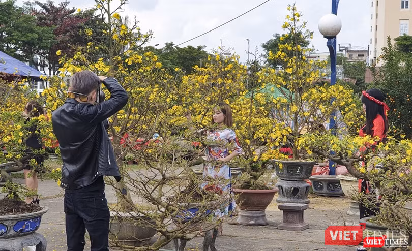 "Nhíp ảnh gia"