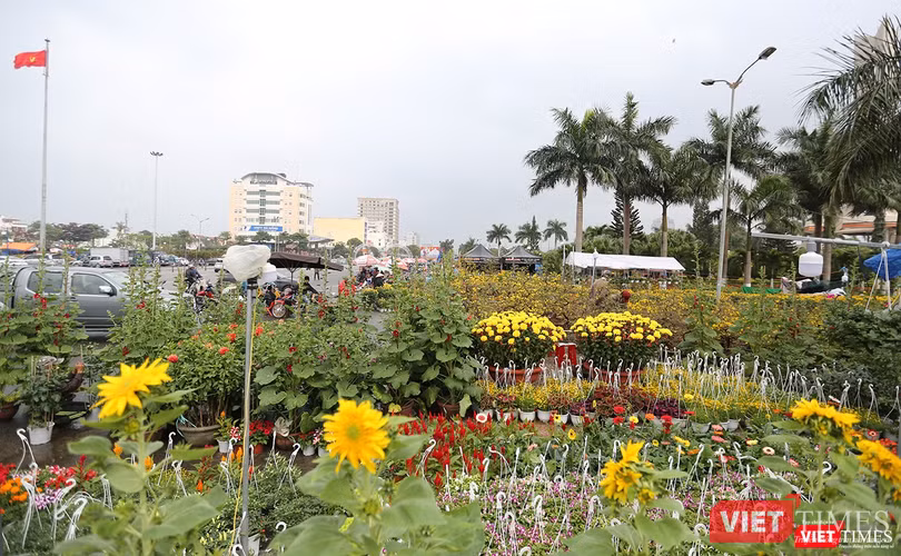 Khoe sắc