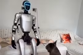 Chú chó bối rối khi lần đầu gặp robot hình người