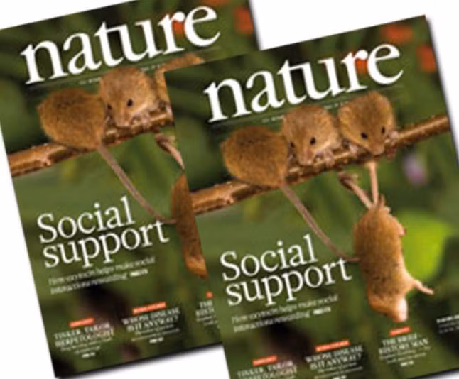 Hình ảnh về tạp chí Nature Anh (ảnh minh họa)