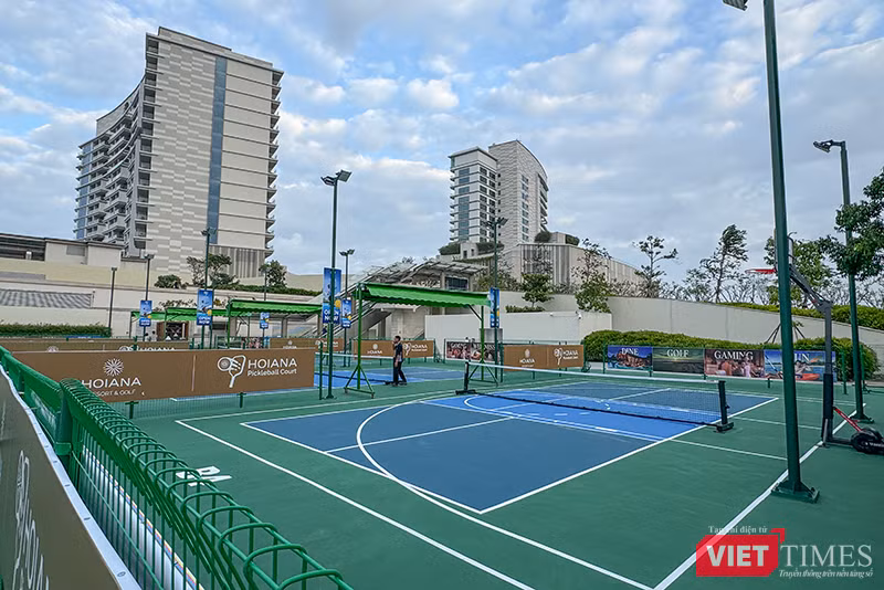 vt_anh pickleball 1.png
