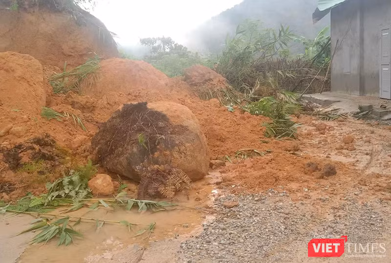 vt_quang nam so tan dan 2.png