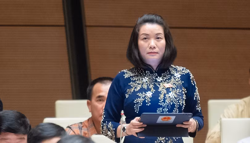 dai bieu tam.png