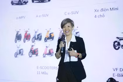 Chân dung nữ chủ tịch công ty sở hữu mảng sản xuất của VinFast 