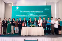 80% ca tử vong vì bệnh không lây nhiễm, Việt Nam tăng cường ứng phó