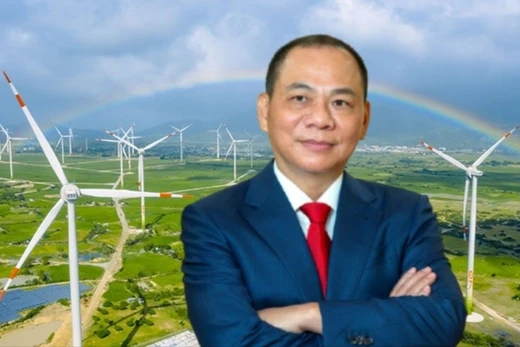 VinEnergo của tỷ phú Phạm Nhật Vượng là nhà đầu tư đáp ứng yêu cầu, đủ điều kiện tham gia triển khai dự án nhà máy điện gió Hòn Trâu - Giai đoạn 1