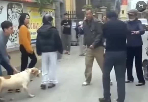 Chó bị xua vào cuộc ẩu đả giữa 2 người đàn ông, quay ra cắn phụ nữ