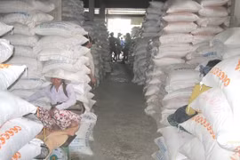 Gạo nhập kho tại chợ đầu mối Bà Đắc, huyện Cái Bè, tỉnh Tiền Giang. Ảnh minh họa: Trung Chánh