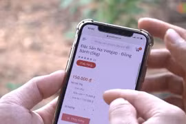 Lạng Sơn thử nghiệm tắt sóng 2G, thúc đẩy người dân dùng smartphone