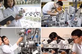 Thành lập Hội đồng Quốc gia về Khoa học, Công nghệ và Đổi mới sáng tạo