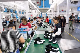 Khu vực FDI được kỳ vọng cao nhưng năng suất lại thấp hơn khu vực nhà nước?