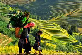 Sapa được báo Pháp bình chọn là một trong 10 điểm đến hấp dẫn nhất Việt Nam