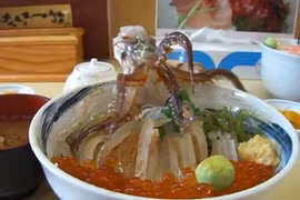 Bạch tuộc sống là món khoái khẩu của người Hàn Quốc. Ảnh minh họa: Soshiok