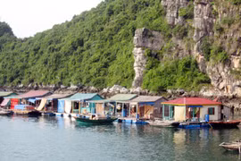 Làng chài Cửa Vạn trên vịnh Hạ Long