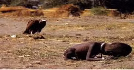 Bức ảnh về nạn đói ở Sudan năm 1993 của nhiếp ảnh gia Kevin Carter gây tranh cãi trong nhiều năm