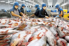 Liệu HVG có đi vào "vết xe đổ" của Bianfishco?