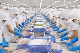 Trong năm 2015, xuất khẩu của Việt Nam đã mất khoảng 8 tỷ USD từ các công ty nước ngoài do không thu hồi nợ được hoặc bị lừa đảo 