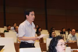 Đại biểu Nguyễn Mạnh Cường (Quảng Bình) - Ảnh: TTXVN 