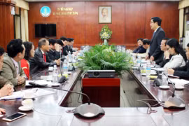 Vingroup đề xuất trồng rau sạch trên cánh đồng mẫu lớn tại Quảng Ninh