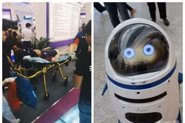 Robot Little Chubby và khách tham quan bị thương sau sự cố